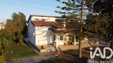 Ferme  à Samora Correia