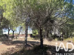 Terreno urbano em Vale de Lobo