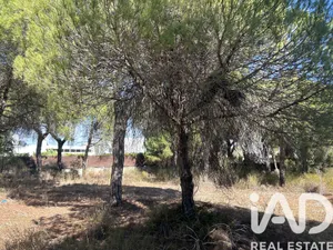 Terreno urbano  em Vale de Lobo
