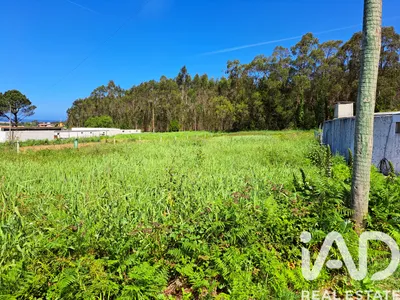 Fotografia 6 de Terreno urbano de 3922 m² em Cortegaça