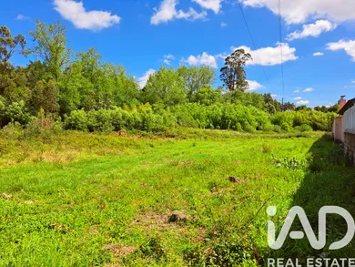 Terreno rústico  em Cortegaça