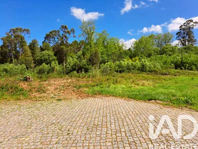 Fotografia 3 de Terreno rústico de 3000 m² em Cortegaça