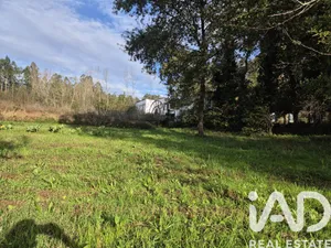Farm land  in Lobão