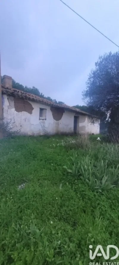 Fotografia 3 de Quinta de 5000 m² em Saboia