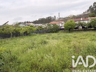 Fotografia 7 de Terreno urbano de 5520 m² em Vila de Cucujães