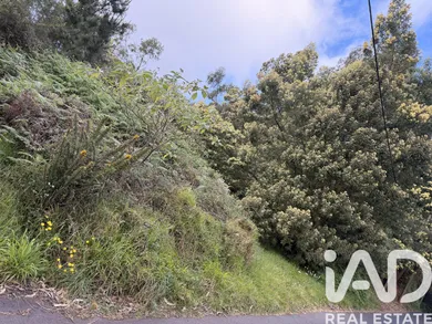 Building plot in Santa Cruz