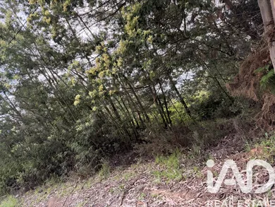 Building plot in Santa Cruz