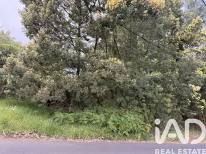 Building plot  in Santa Cruz