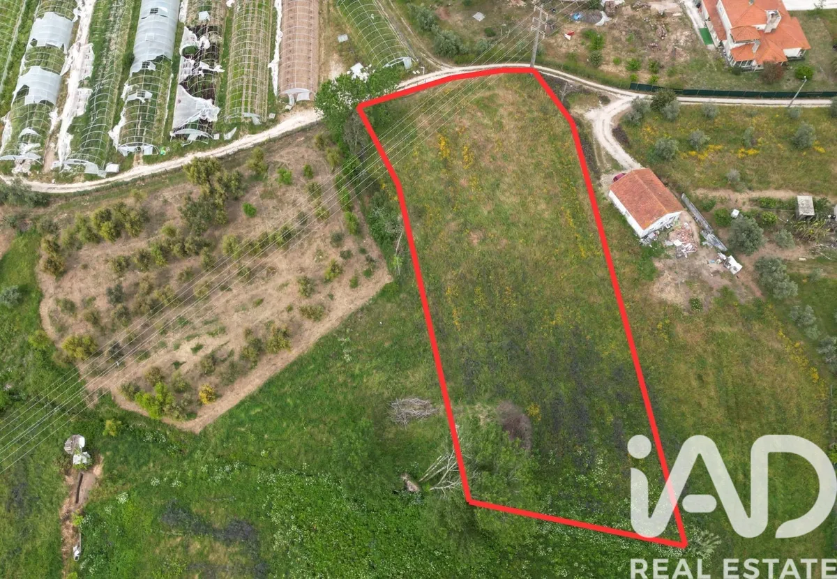 Terreno rústico de 3080 m² em Leiria