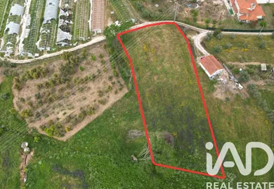 Terrain agricole   à Leiria