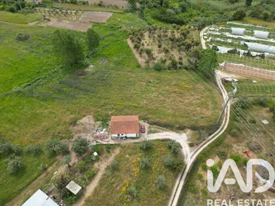 Fotografia 3 de Terreno rústico de 3080 m² em Leiria
