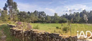 Quinta rural em Castelo Branco