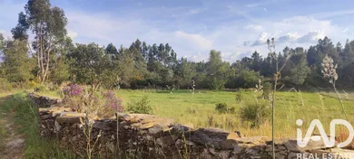 Ferme rurale  à Castelo Branco