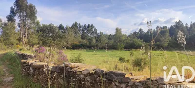 Fotografia 5 de Quinta agrícola de 6840 m² em Castelo branco