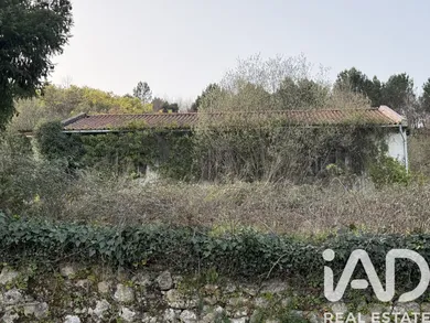 Quinta rural  em Vila Real
