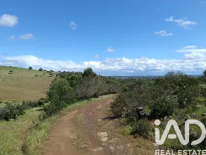 Terreno rústico  em São Miguel do Pinheiro