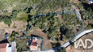 Terreno rústico  em Lapa