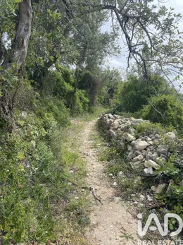 Terreno urbano em Santa Bárbara de Nexe