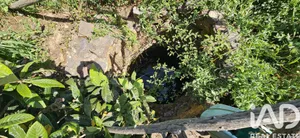 Terreno rústico  em Barao de Sao Miguel