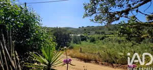Terreno rústico  em Barao de Sao Miguel
