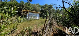Terreno rústico em Barao de Sao Miguel