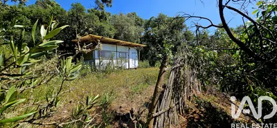 Fotografia 3 de Terreno rústico de 5480 m² em Barao de Sao Miguel