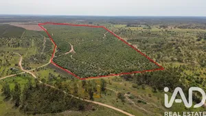 Terreno rústico  em Bemposta