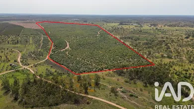 Terreno rústico  em Bemposta