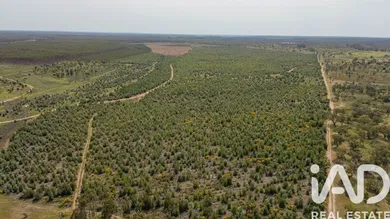 Terrain agricole   à Bemposta