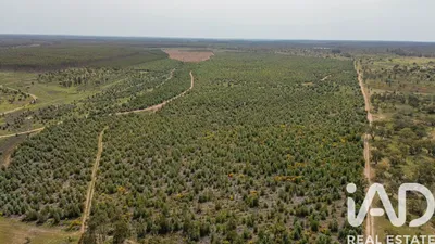 Fotografia 3 de Terreno rústico de 550 000 m² em Bemposta