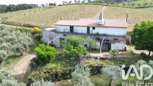 Farm land in Castedo