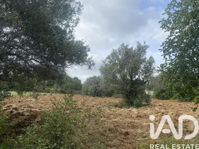 Fotografia 3 de Terreno rústico de 1720 m² em Santa Bárbara de Nexe