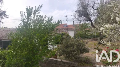 Maison à oliveira do hospital