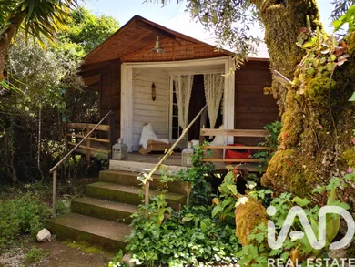 Land  in São Pedro de Tomar