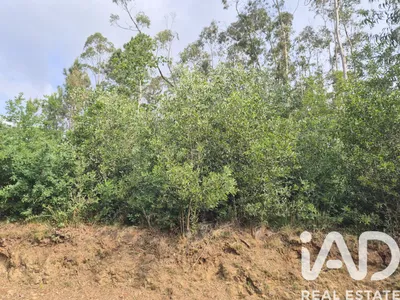 Fotografia 3 de Terreno de 2320 m² em Lobão