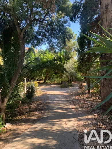 Land  in São Pedro de Tomar