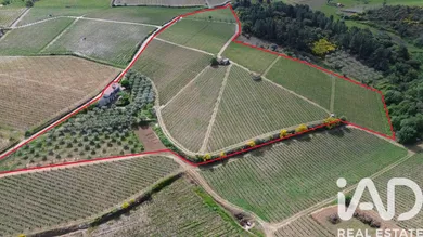 Farm land in Castedo