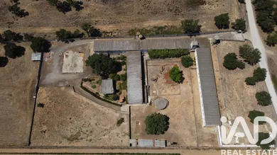 Terreno em Quinta do Anjo