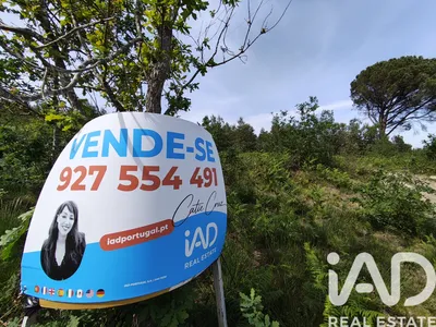 Fotografia 3 de Terreno de 40 000 m² em Sande