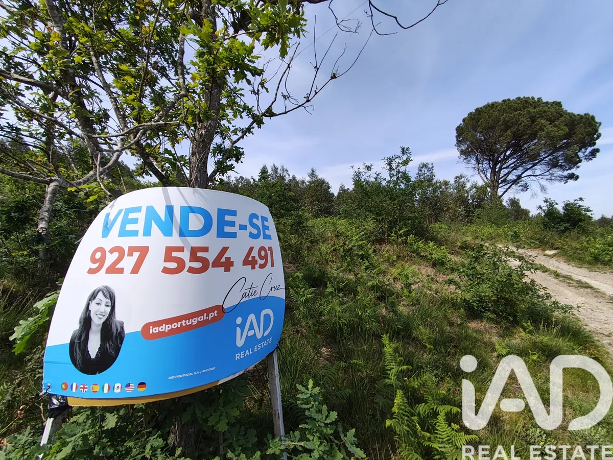 Terreno de 40 000 m² em Sande