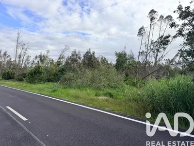 Fotografia 9 de Terreno urbano de 3355 m² em Marinha Grande