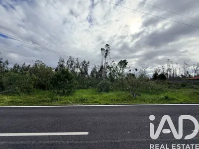 Fotografia 3 de Terreno rústico de 4198 m² em Marinha Grande