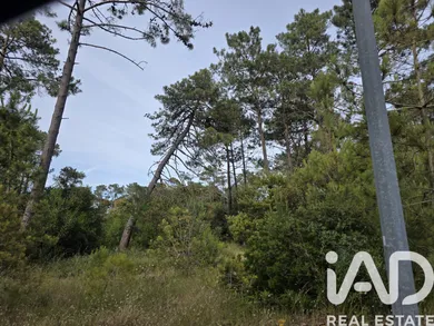 Building plot  in Sesimbra