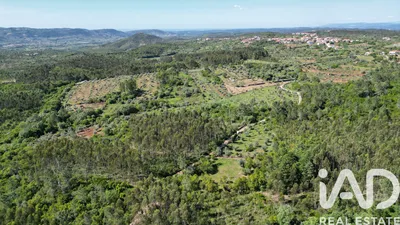 Fotografia 3 de Terreno rústico de 5560 m² em Alvorge
