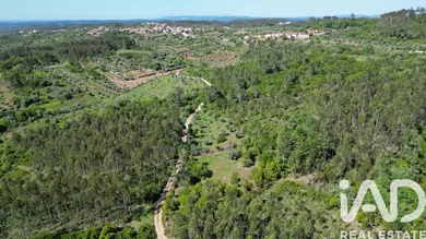 Farm land  in Alvorge