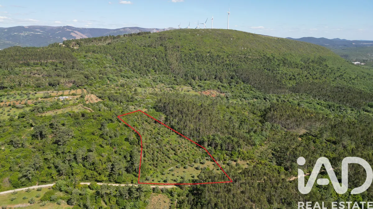 Terreno rústico de 5560 m² em Alvorge