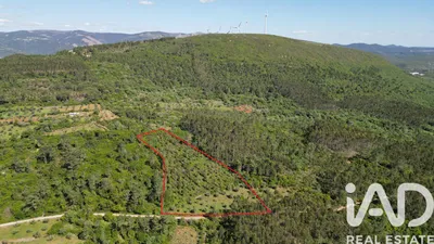 Fotografia 1 de Terreno rústico de 5560 m² em Alvorge