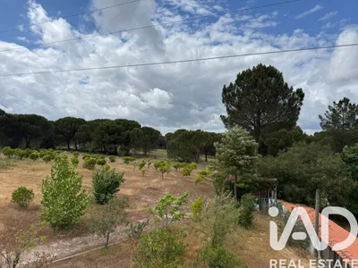 Fotografia 3 de Terreno rústico de 25 750 m² em Pegões
