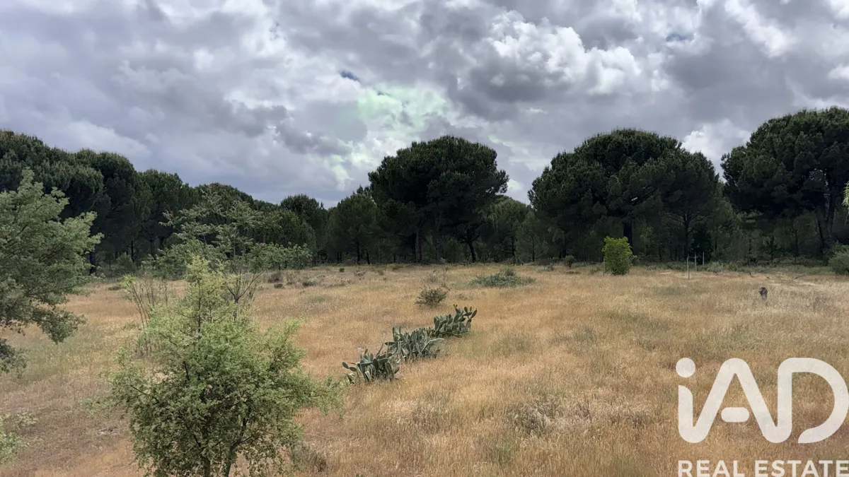 Terreno rústico de 25 750 m² em Pegões