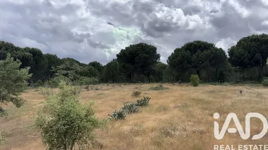 Terrain agricole à Pegões